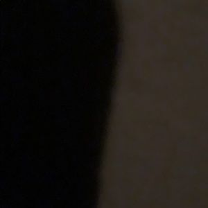 Meet your Posher, Elsa